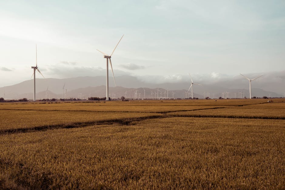 Fotos de stock gratuitas de advertencia ambiental, aerogenerador, agricultura
