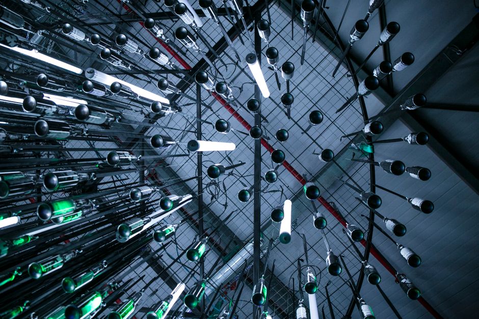 Toma dinámica en ángulo bajo que captura luces fluorescentes colgantes en un entorno industrial.
