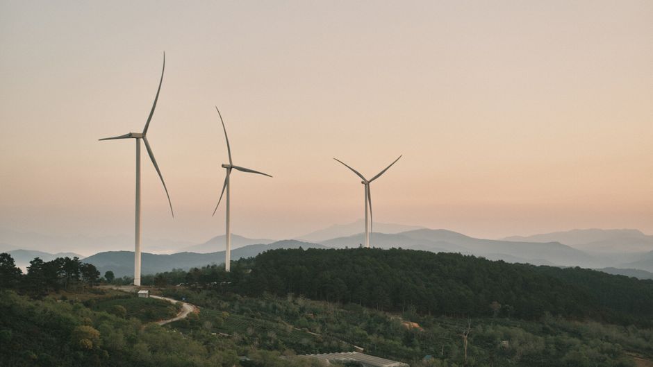 Vista escénica de aerogeneradores sobre un paisaje forestal brumoso al amanecer, enfatizando la energía renovable.