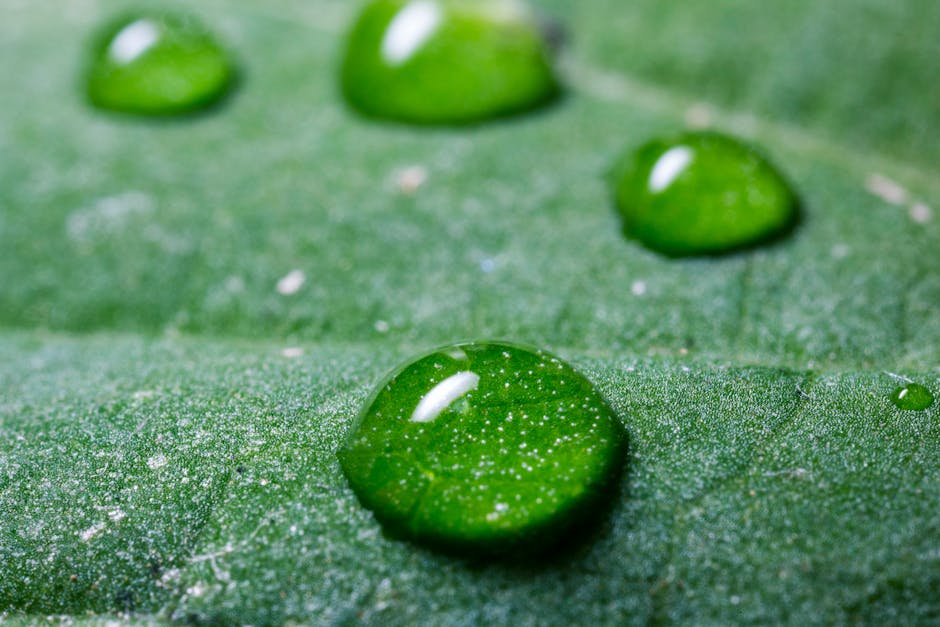 Fotos de stock gratuitas de agua, al aire libre, belleza natural