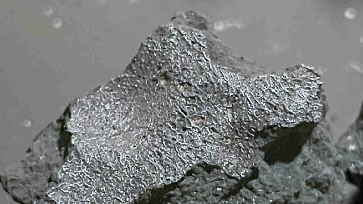Raro meteorito revela pistas sobre el origen de la vida