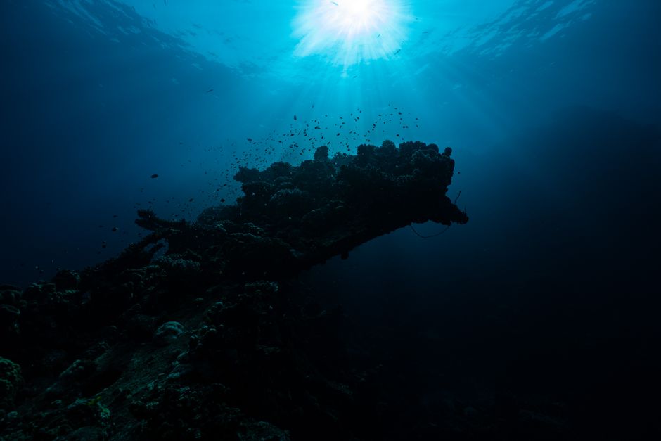Impresionante vista submarina de un arrecife de coral con la luz del sol filtrando en Yanbu, Arabia Saudita.