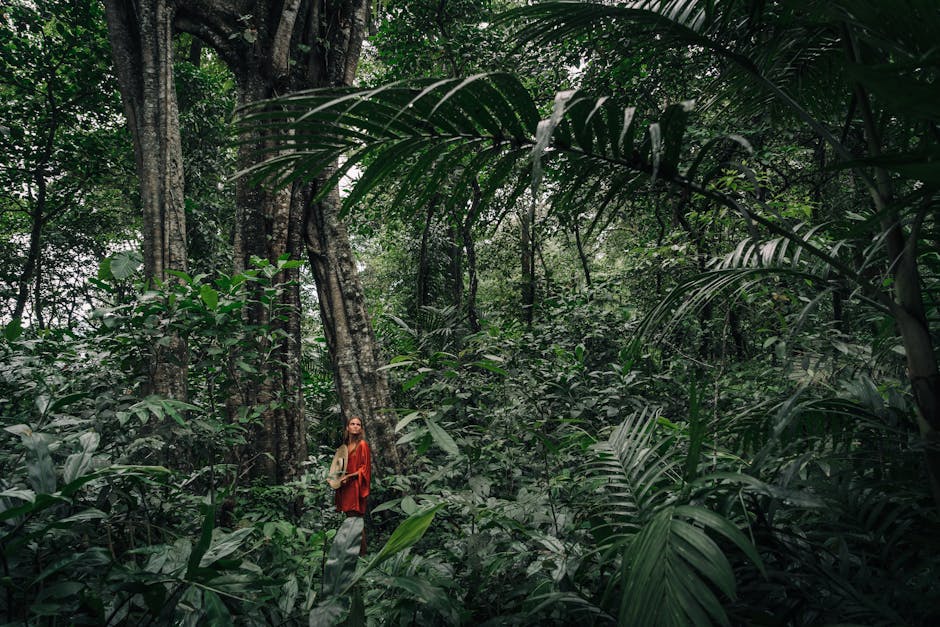 Fotos de stock gratuitas de al aire libre, amante de la naturaleza, América del sur