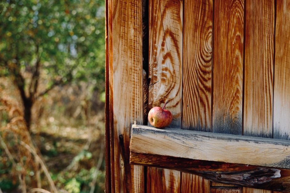 Una sola manzana reposa sobre un cobertizo rústico de madera. Una escena otoñal perfecta.