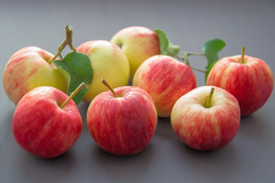 Manzanas rojas y amarillas vibrantes que muestran frescura y la abundancia de la cosecha.