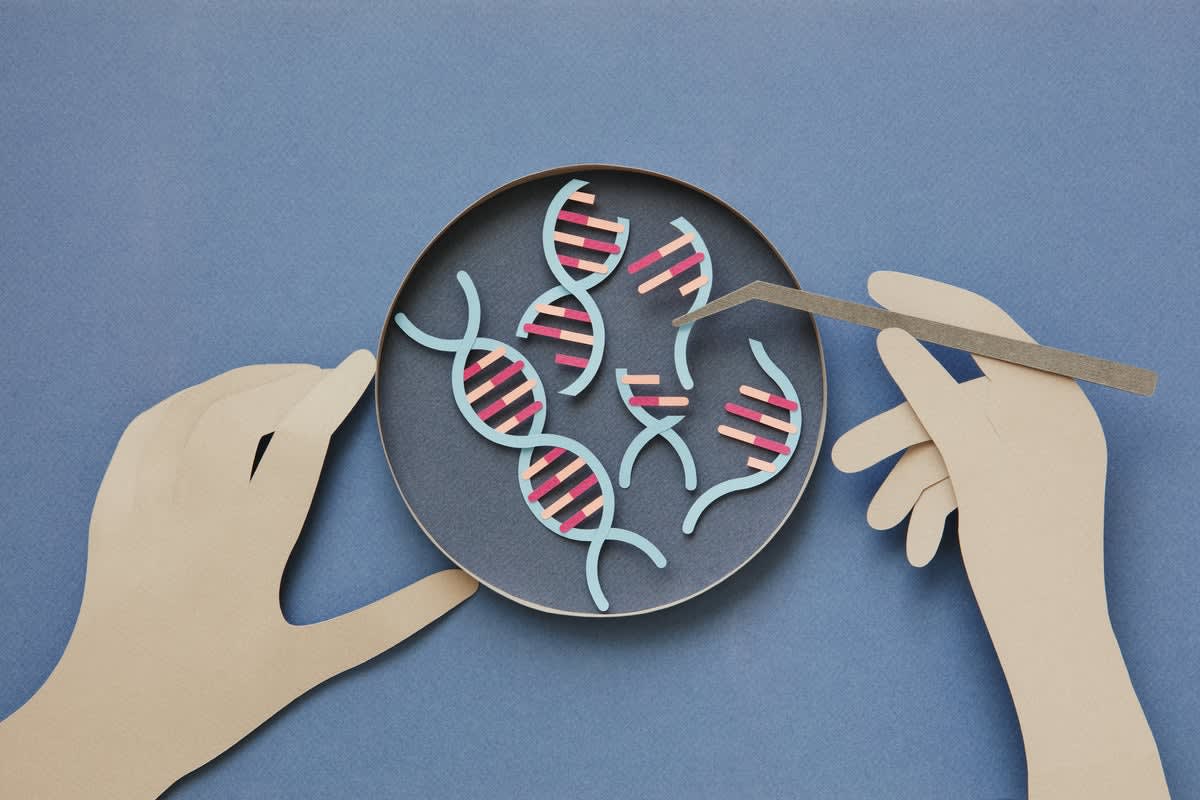 Reloj genético predice edad biológica y mortalidad