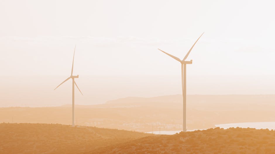 Fotos de stock gratuitas de al aire libre, brillo de sol, brisa marina