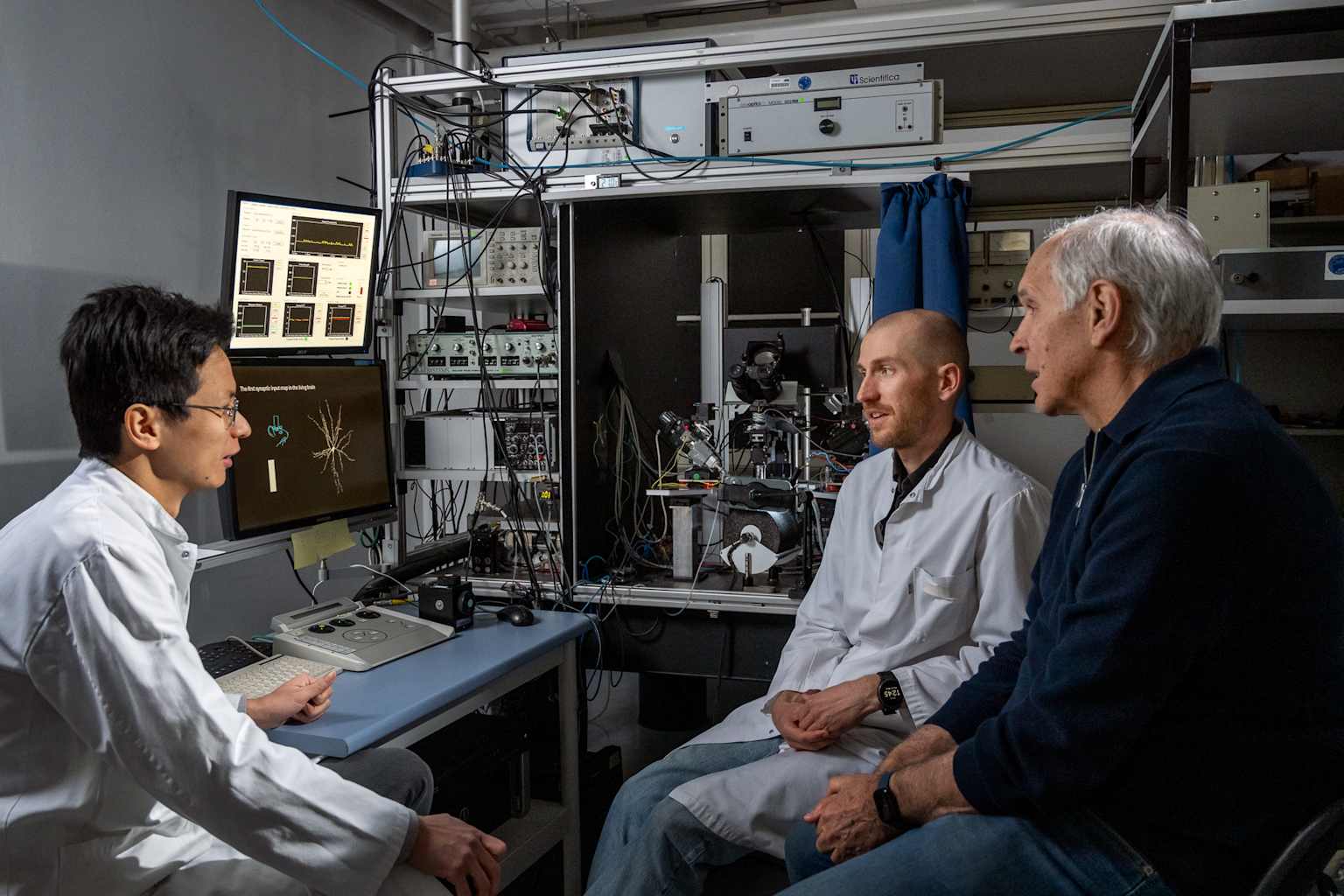 Resuelven debate de 60 años sobre cómo ve el cerebro