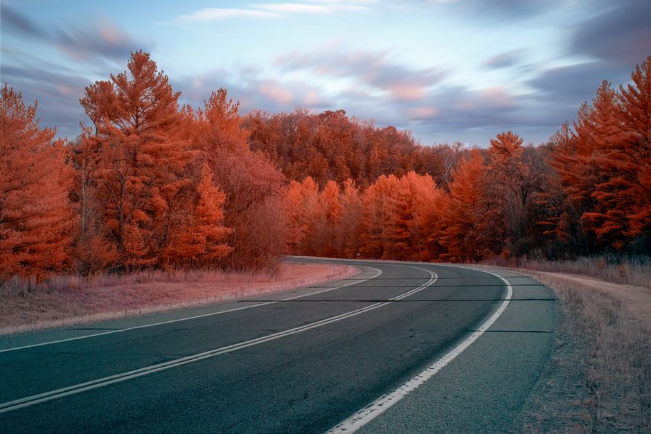 Autopista curva por un colorido bosque de otoño cerca de Millville, MN, EE.UU.