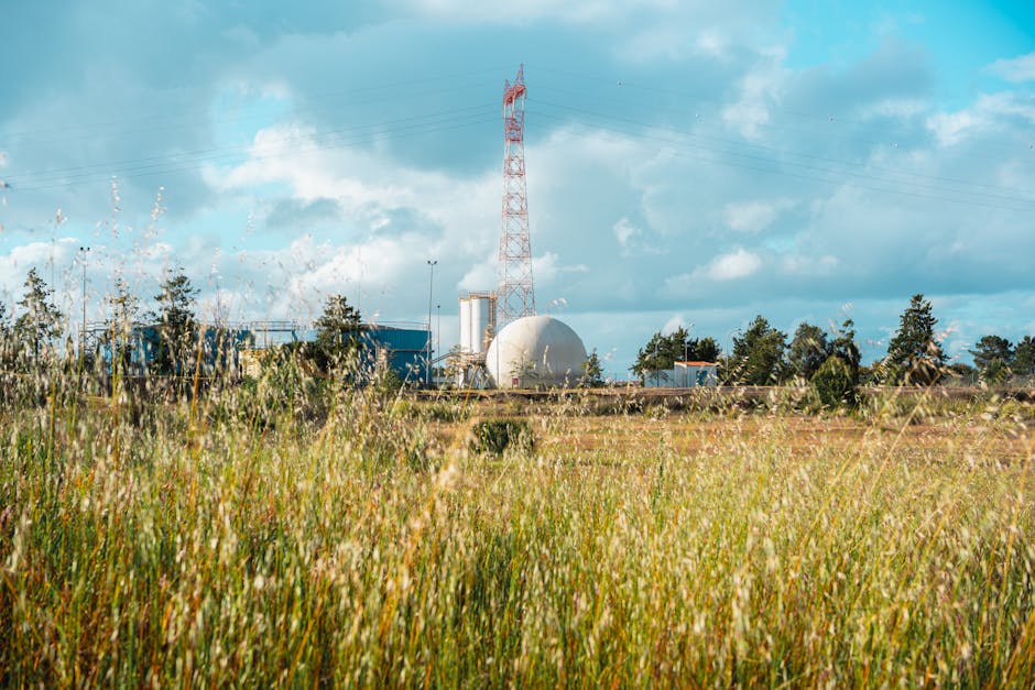 Fotos de stock gratuitas de agricultura, al aire libre, campo