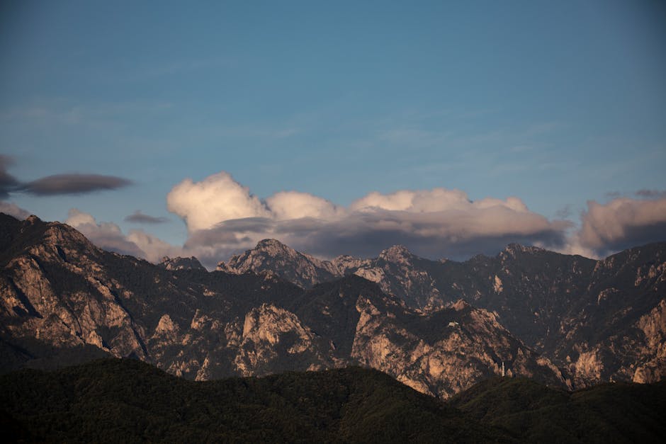 Fotos de stock gratuitas de actividades al aire libre, al aire libre, amantes de la naturaleza