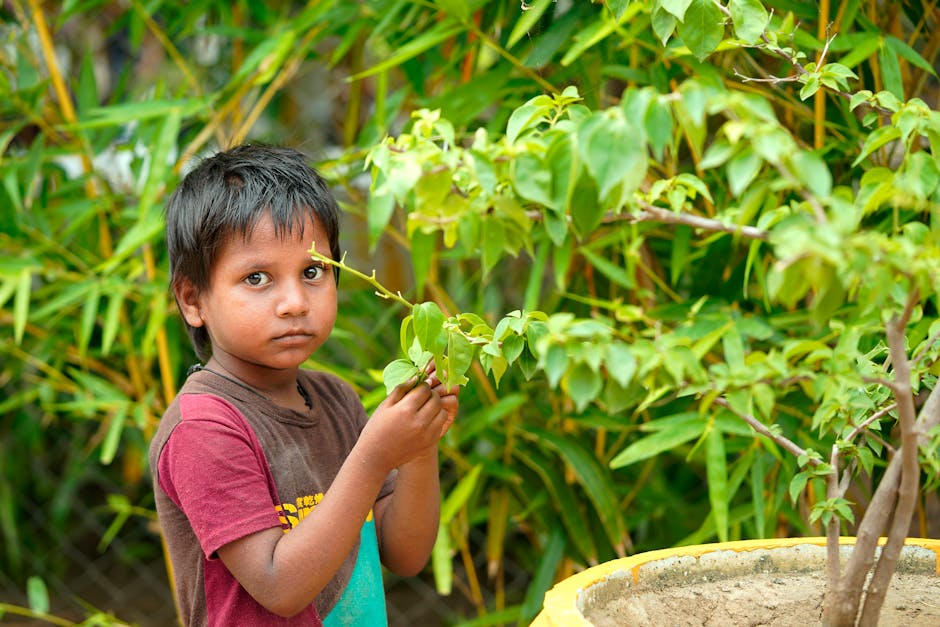 Un lindo niño mirando a la cámara en medio de una exuberante vegetación, transmitiendo inocencia en la naturaleza.