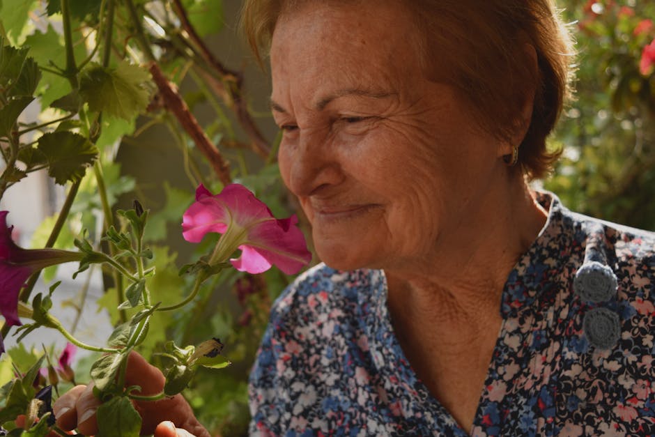 Fotos de stock gratuitas de abuela, actividad al aire libre, adulto mayor