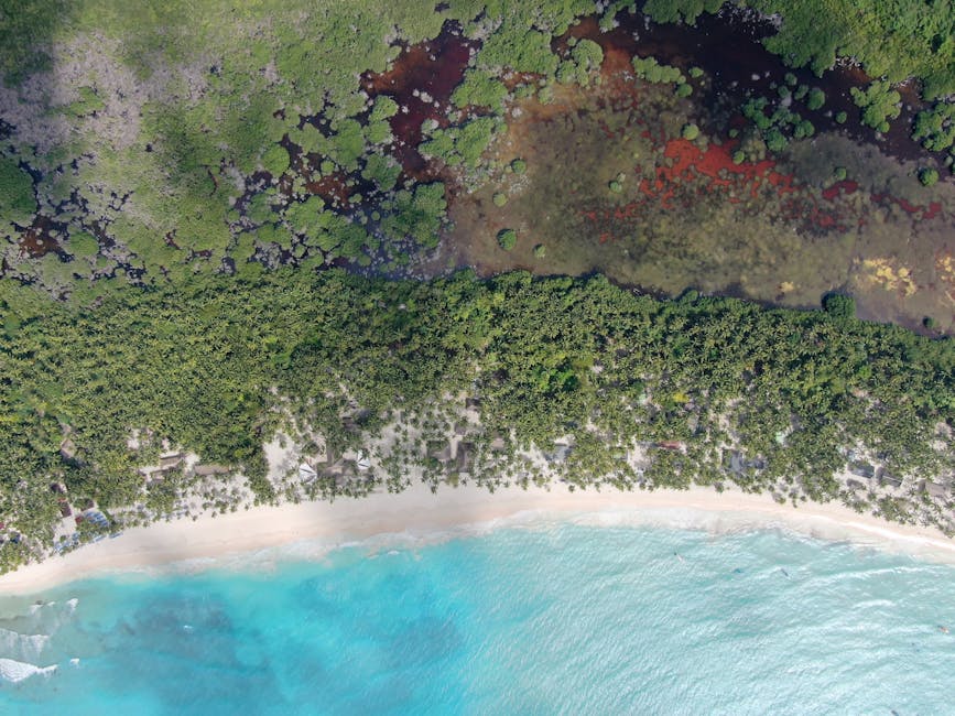 Impresionante vista aérea de una playa tropical con exuberante bosque y aguas turquesas.