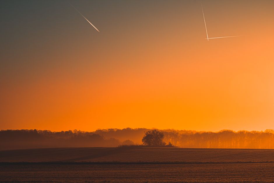 Una imagen tranquila del amanecer que muestra rastros de vapor en un cielo naranja sobre un campo brumoso y una línea de árboles.