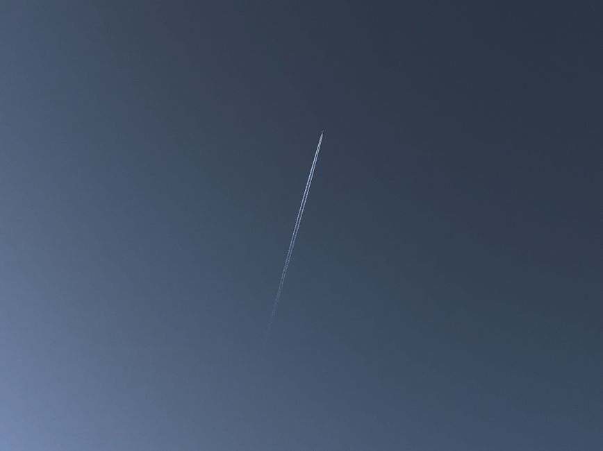 SpaceX lanzará tres BlueBird: horarios y cómo verlo