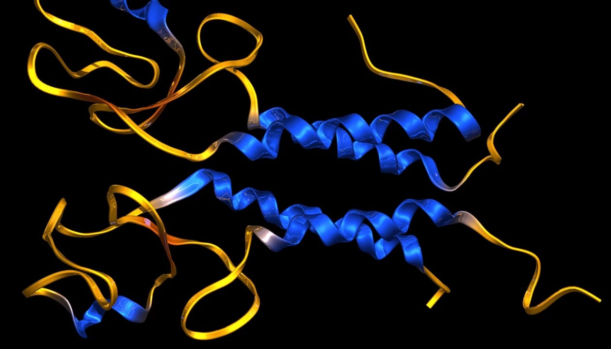 Stanford decodifica proteínas usando secuencias de ADN