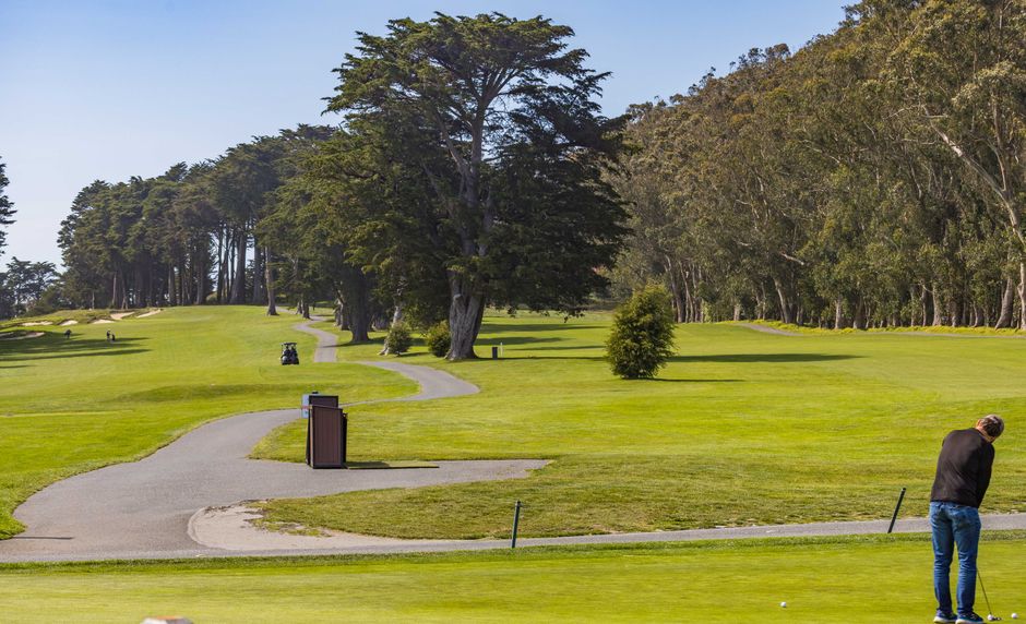 Un golfista juega en un día soleado en un campo de golf verde lleno de árboles altos.