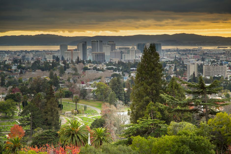 Impresionante vista del horizonte de Oakland y exuberante primer plano al atardecer.