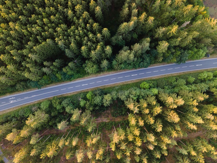 Vista aérea de una carretera que atraviesa un denso paisaje forestal cerca de Rehau, Alemania.