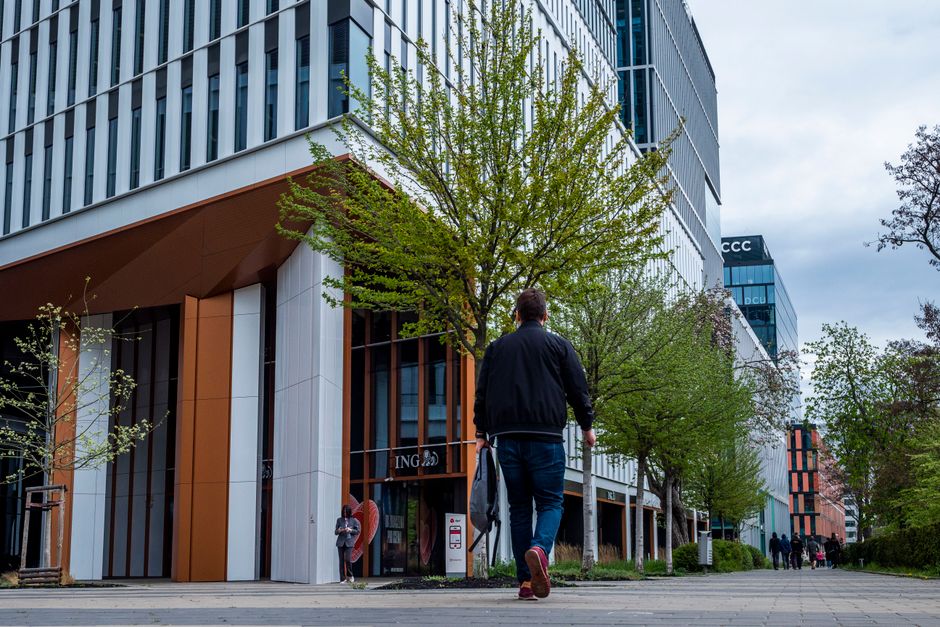 Hombre caminando en área urbana con edificios modernos y árboles a lo largo de la calle.