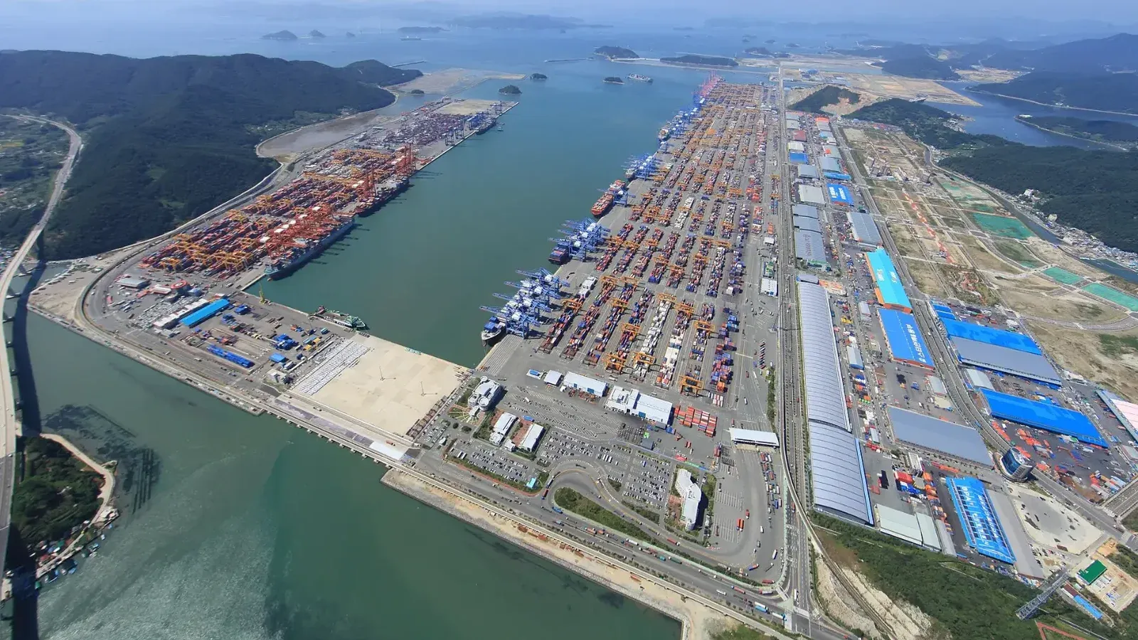 Tiburón de Busan cruza la red y vuelve al canal