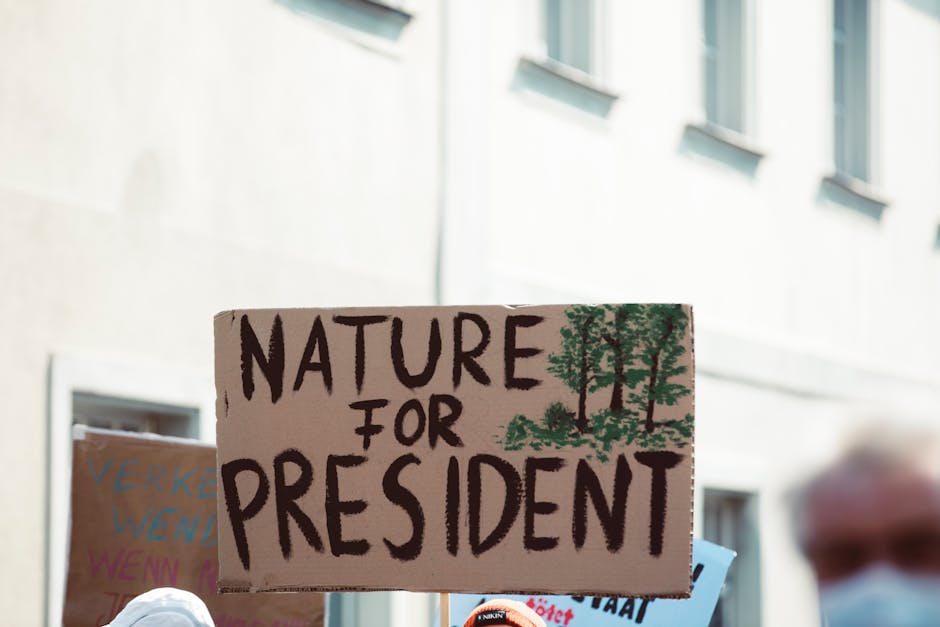 Fotos de stock gratuitas de abogacía, acción climática, acción comunitaria