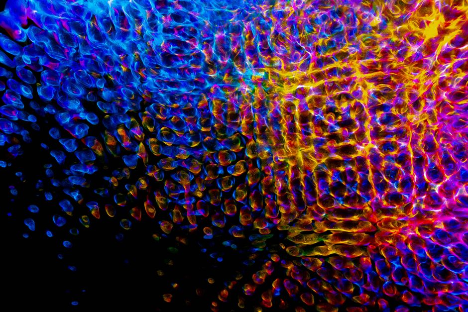 Un patrón abstracto hipnotizante con colores vibrantes y textura digital, perfecto para fondos creativos.