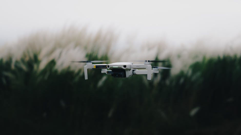 Fotos de stock gratuitas de aéreo, al aire libre, alta tecnología