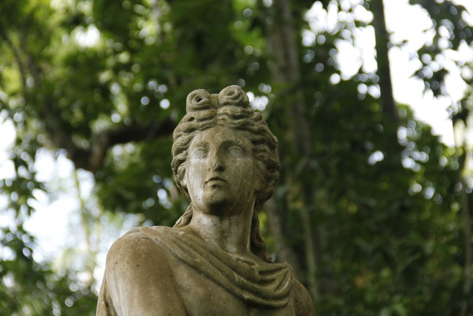 Primer plano de una estatua clásica de piedra rodeada de densa vegetación, evocando una atmósfera artística atemporal.