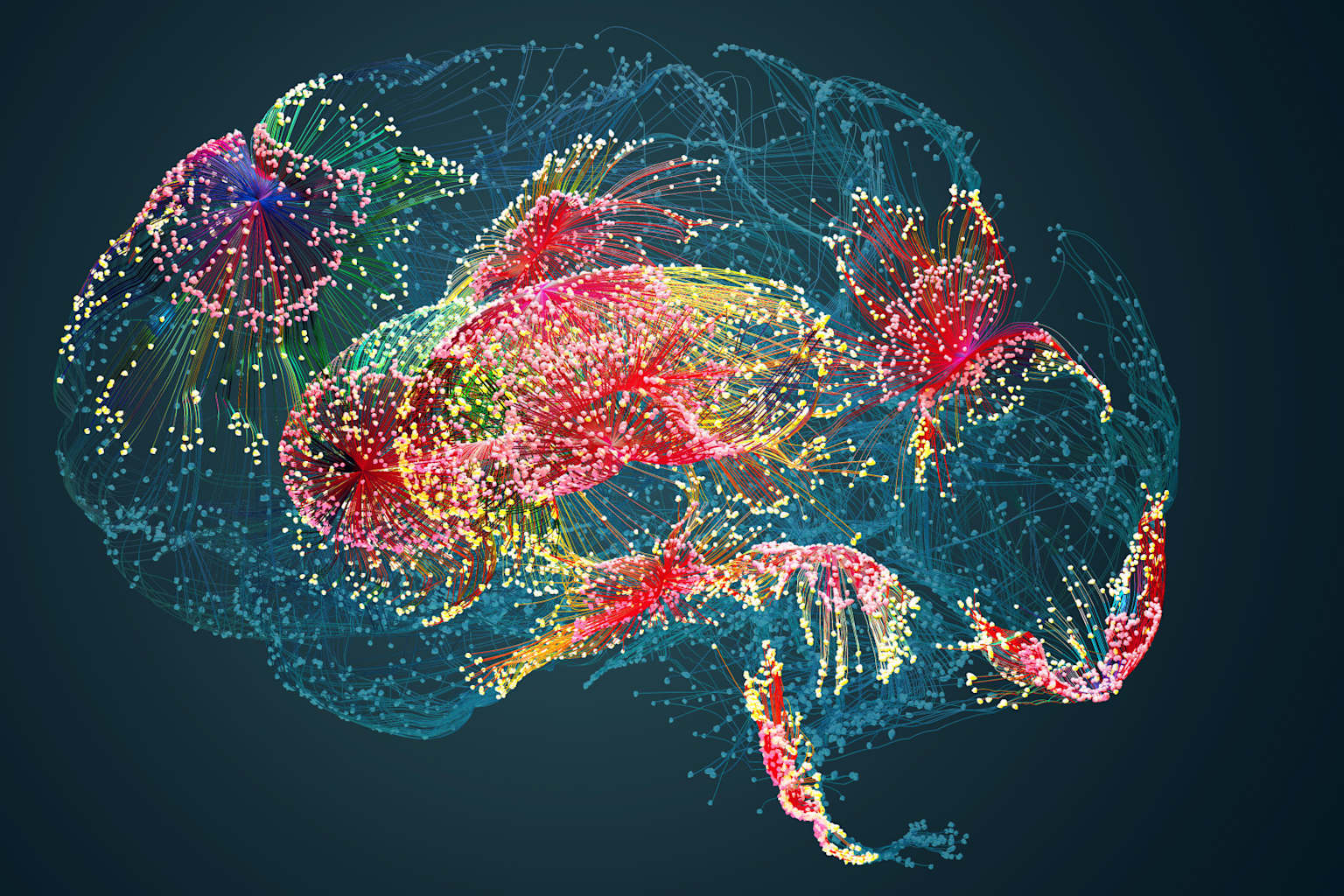 Ver e imaginar activan las mismas neuronas en el cerebro