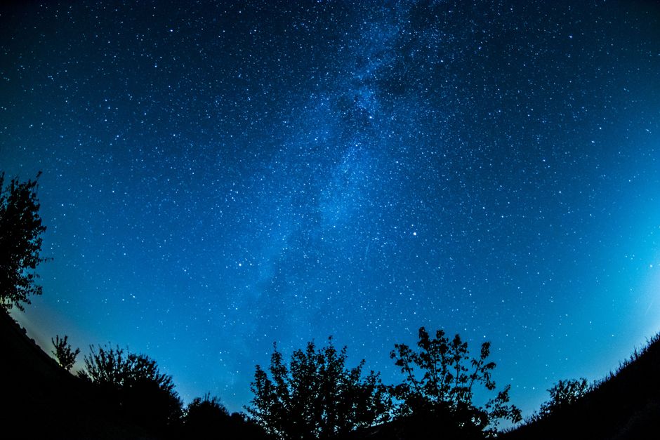 Una vista impresionante de un cielo nocturno estrellado sobre un bosque en silueta, mostrando la Vía Láctea.
