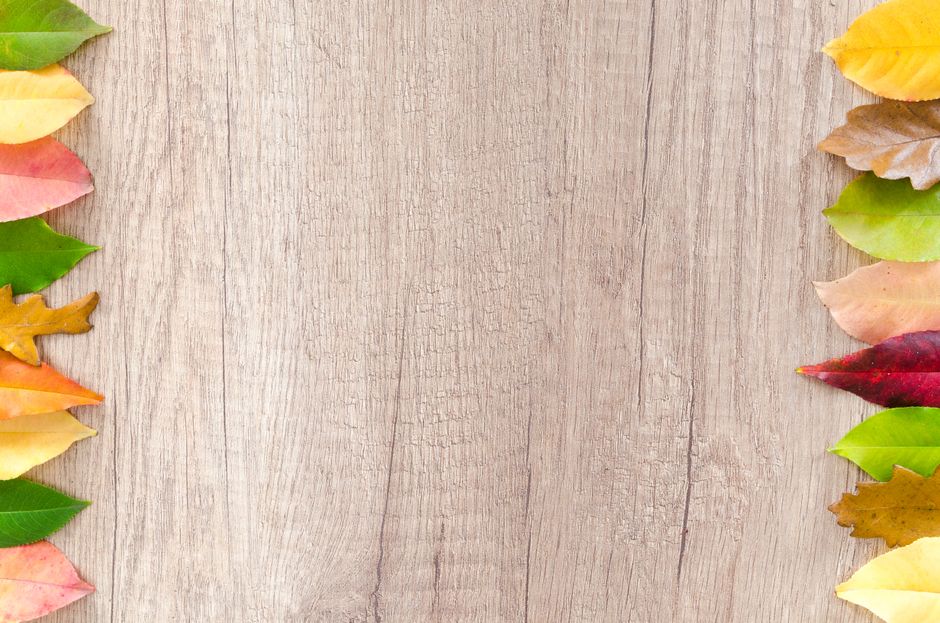 Hojas vibrantes de otoño enmarcando una superficie de madera, perfectas para diseños estacionales.